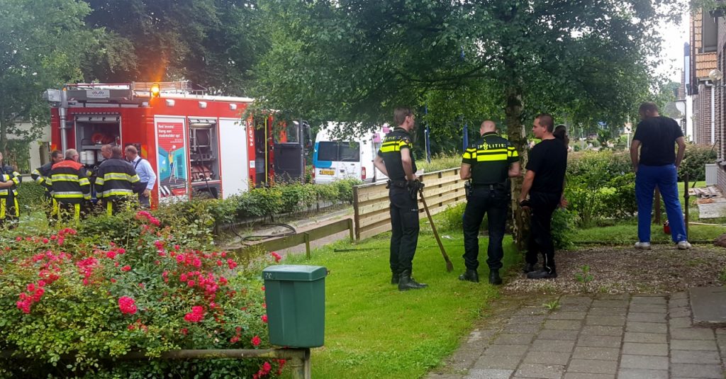 20160715_140718(0) (1280x669)