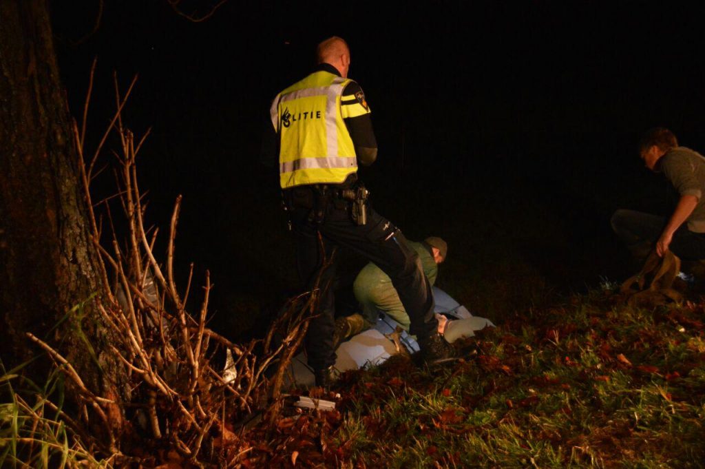 photo_2016-11-15_21-29-28