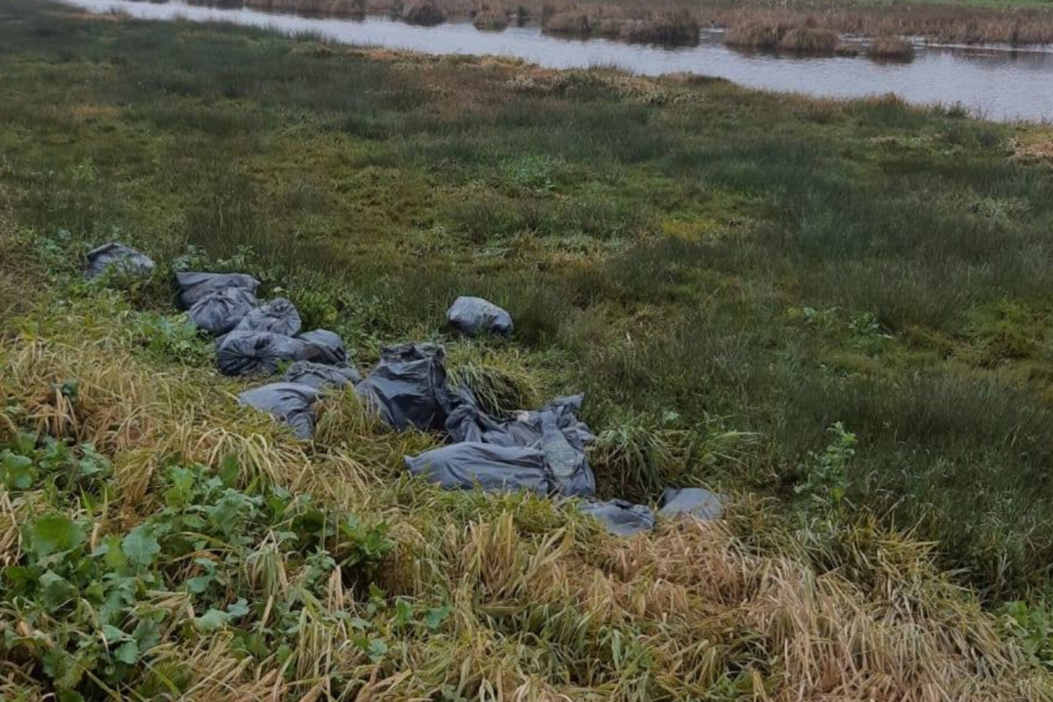 Vuilniszakken met hennepafval gedumpt in Nijetrijne