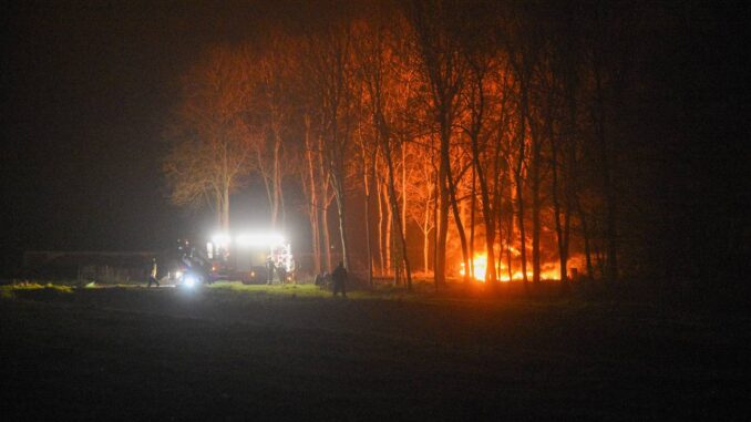 86F0F1BA-6931-4CA7-B5C4-7E79865D6915