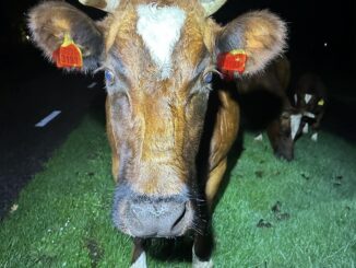 Foto: Wijkagenten Noordwolde