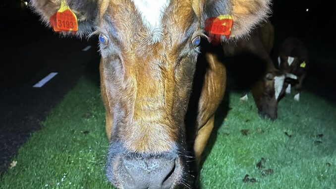 IMG_6796 Foto: Wijkagenten Noordwolde