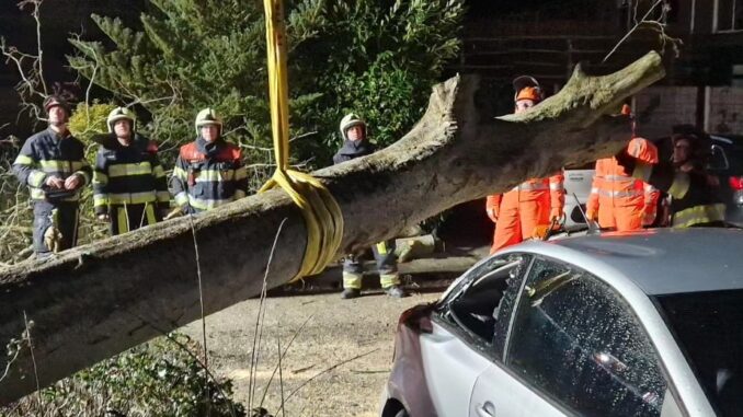 Foto: brandweer Oosterwolde