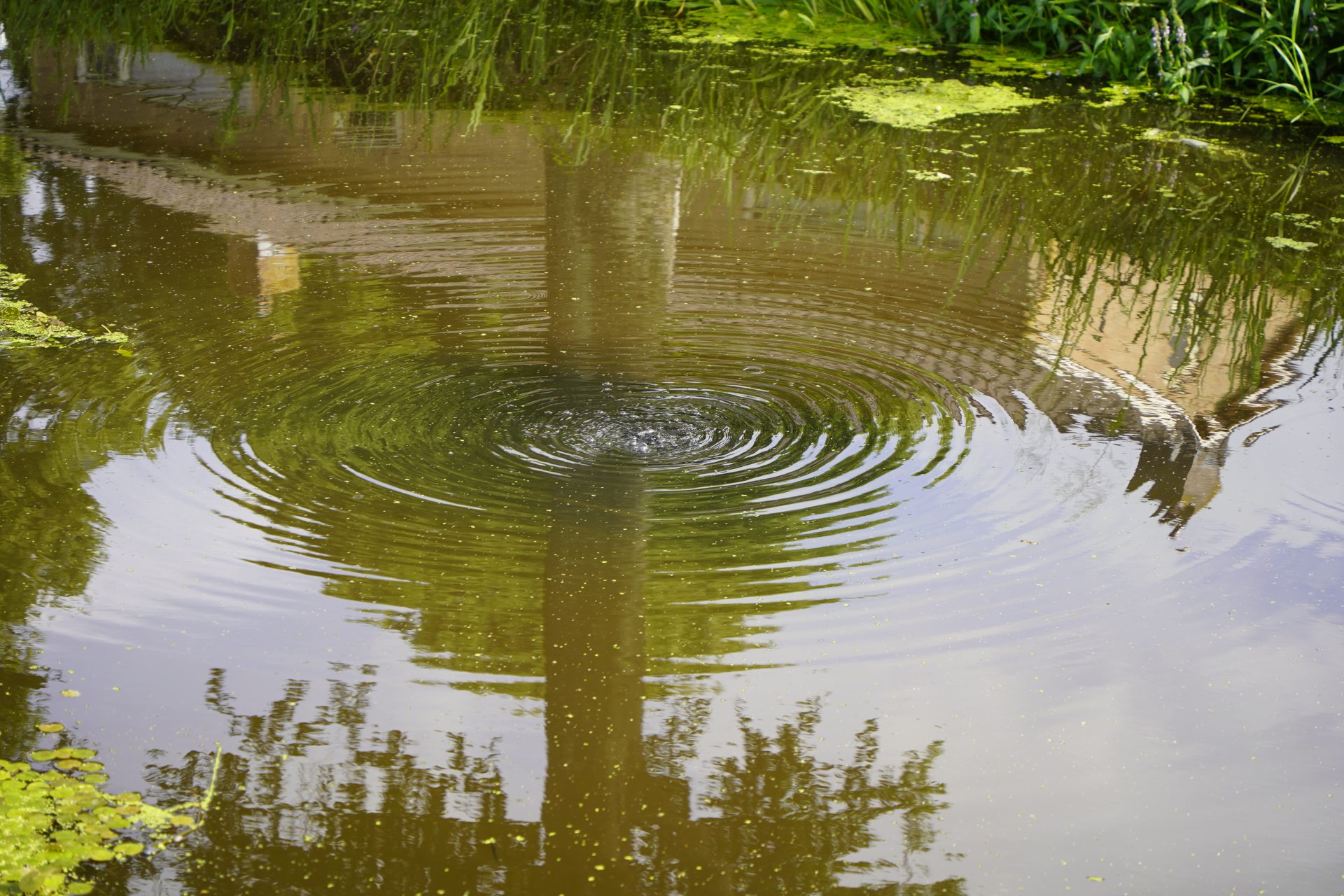Auto rolt van oprit en gaat kopje onder