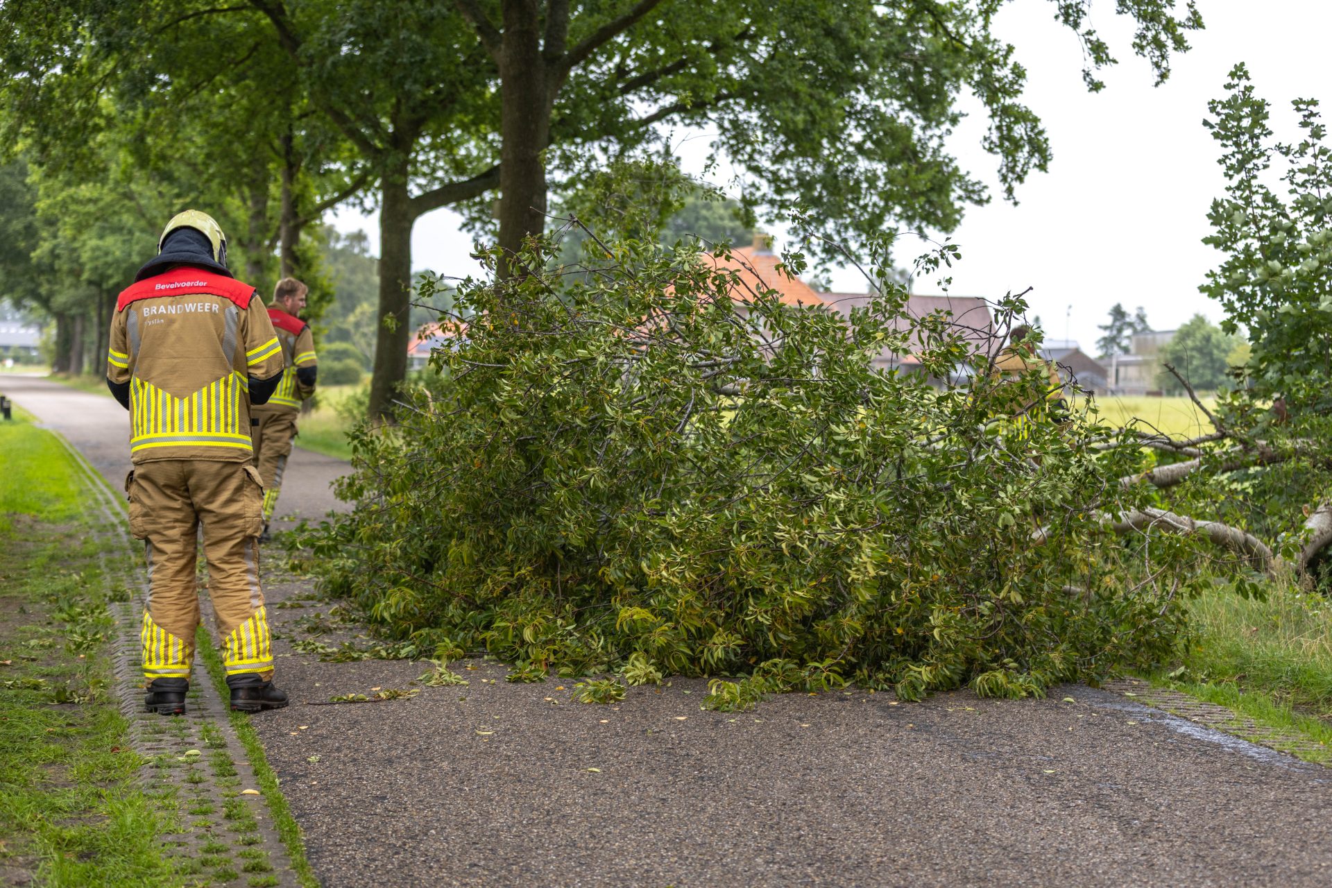 Boom valt over weg Boijl