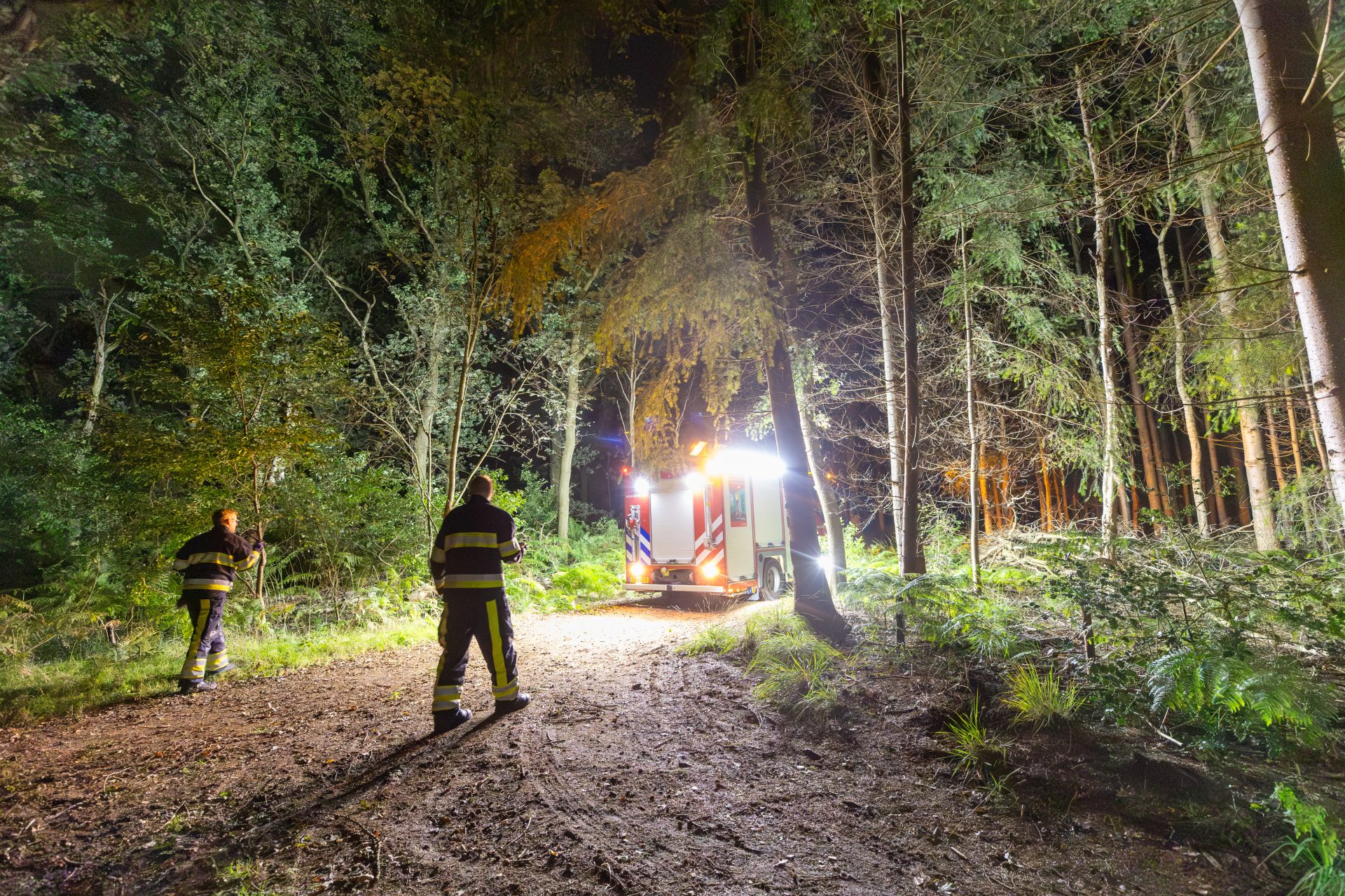 Brand in bosperceel Wolvega