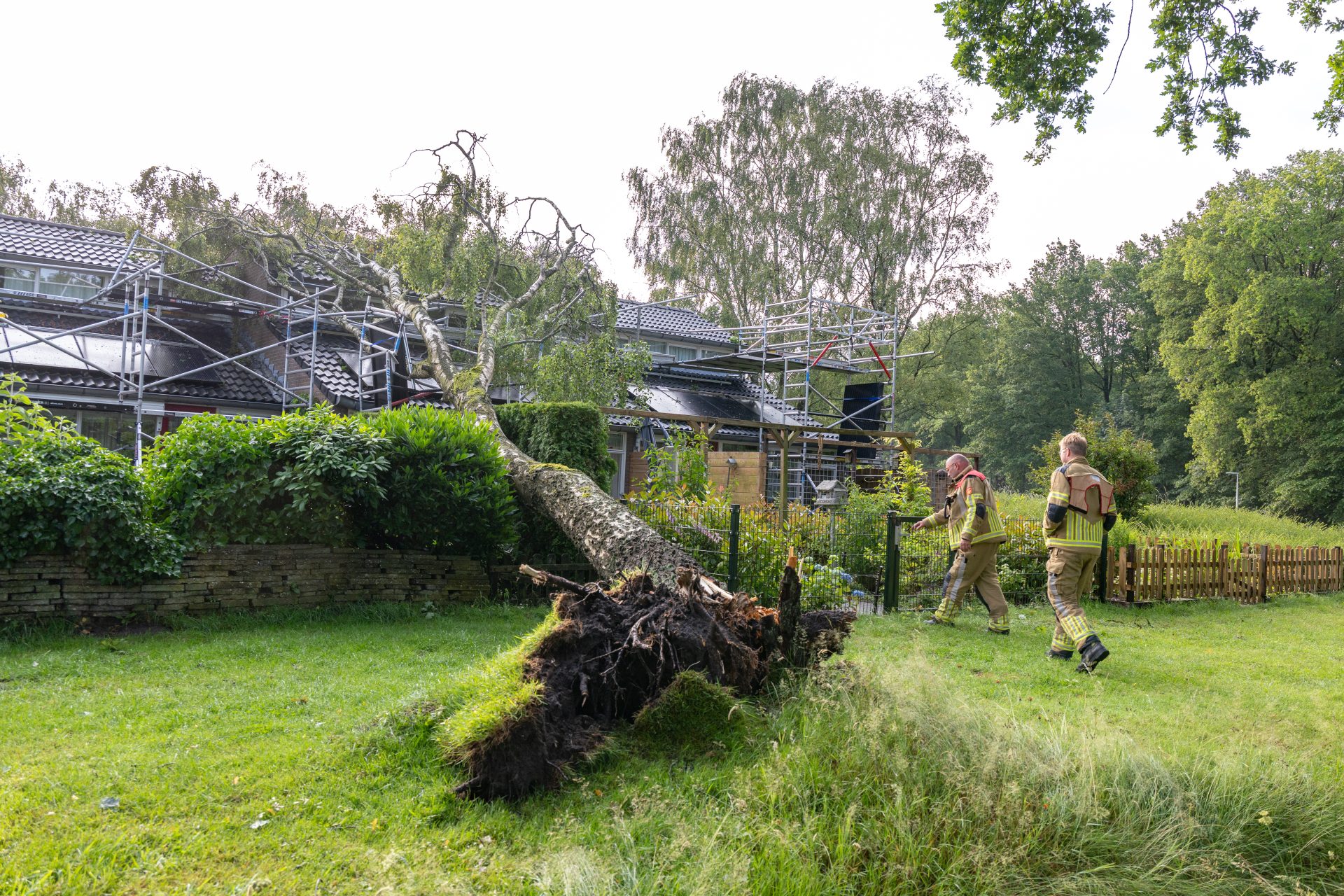 Boom belandt op woning in Noordwolde