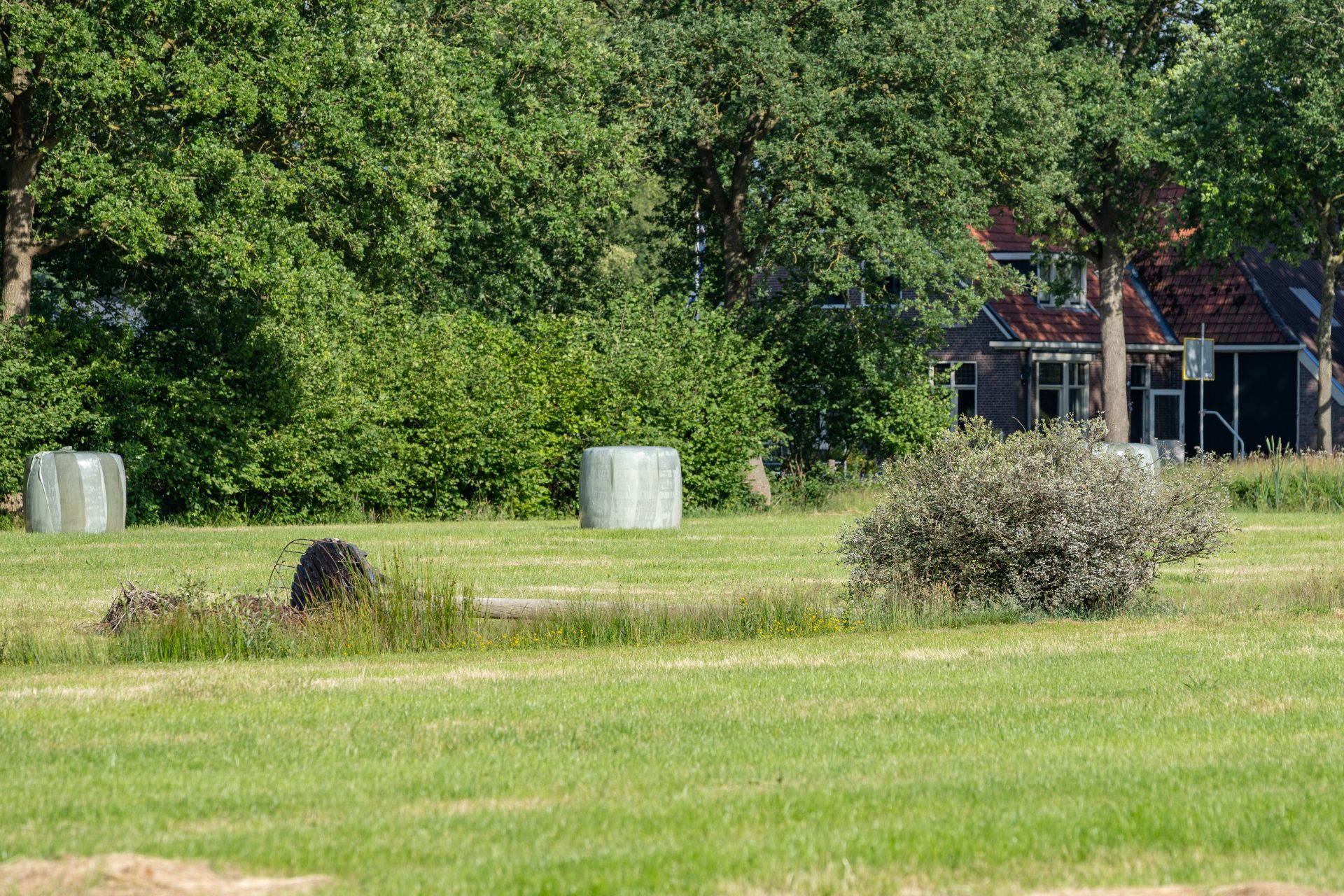 Ooievaarsnest omver geblazen door storm in Oldeberkoop