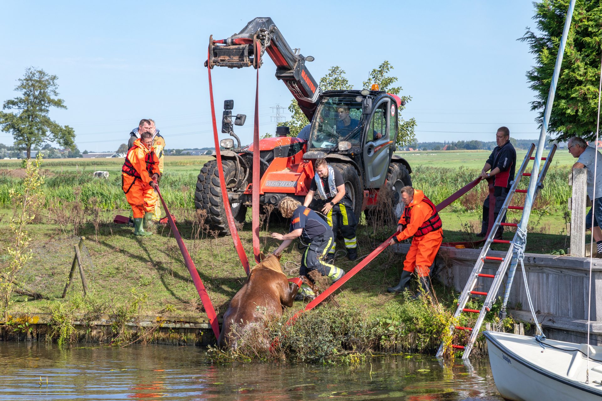 Brandweer redt paard uit vaart bij Nijelamer